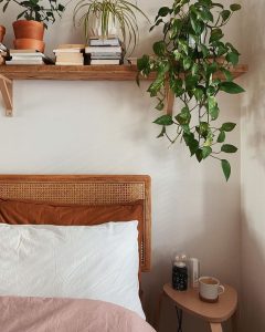 Plants