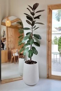 interior design tips