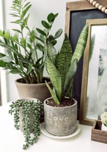 interior design tips