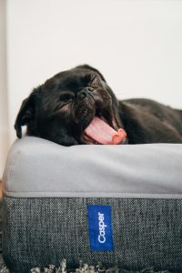 bed styling