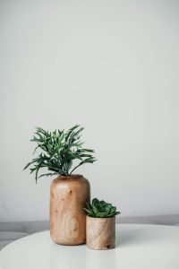 Zen