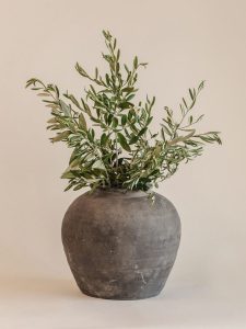 Muji